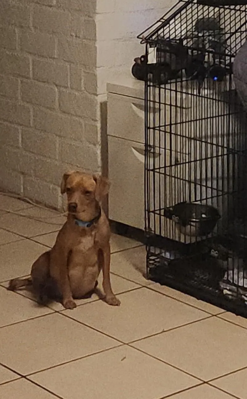 Mommastrone thumbnail 4