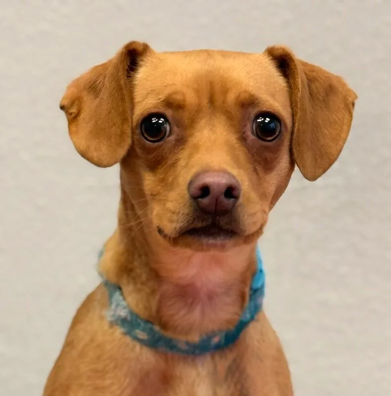 Mommastrone thumbnail 6