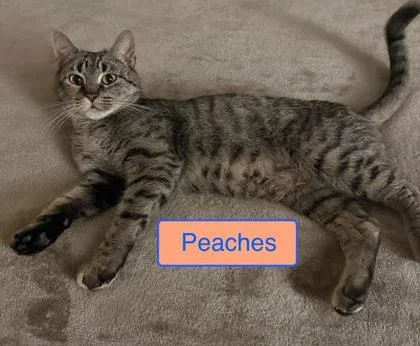 Peaches