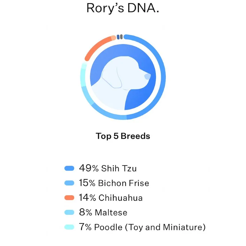 Rory