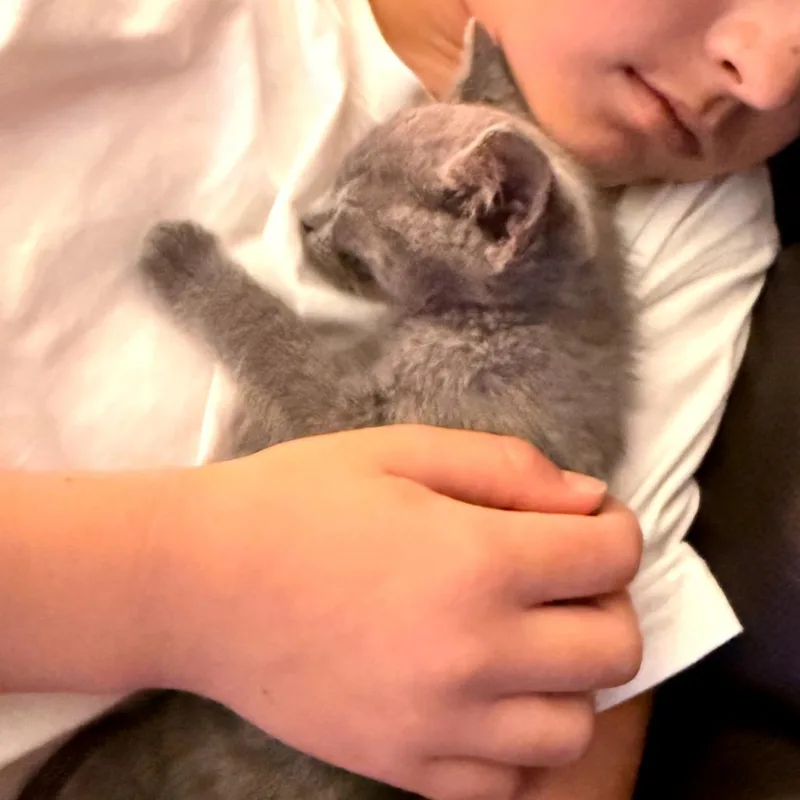 Silver thumbnail 3