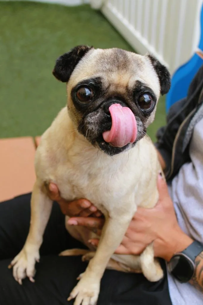 Muriel thumbnail 6