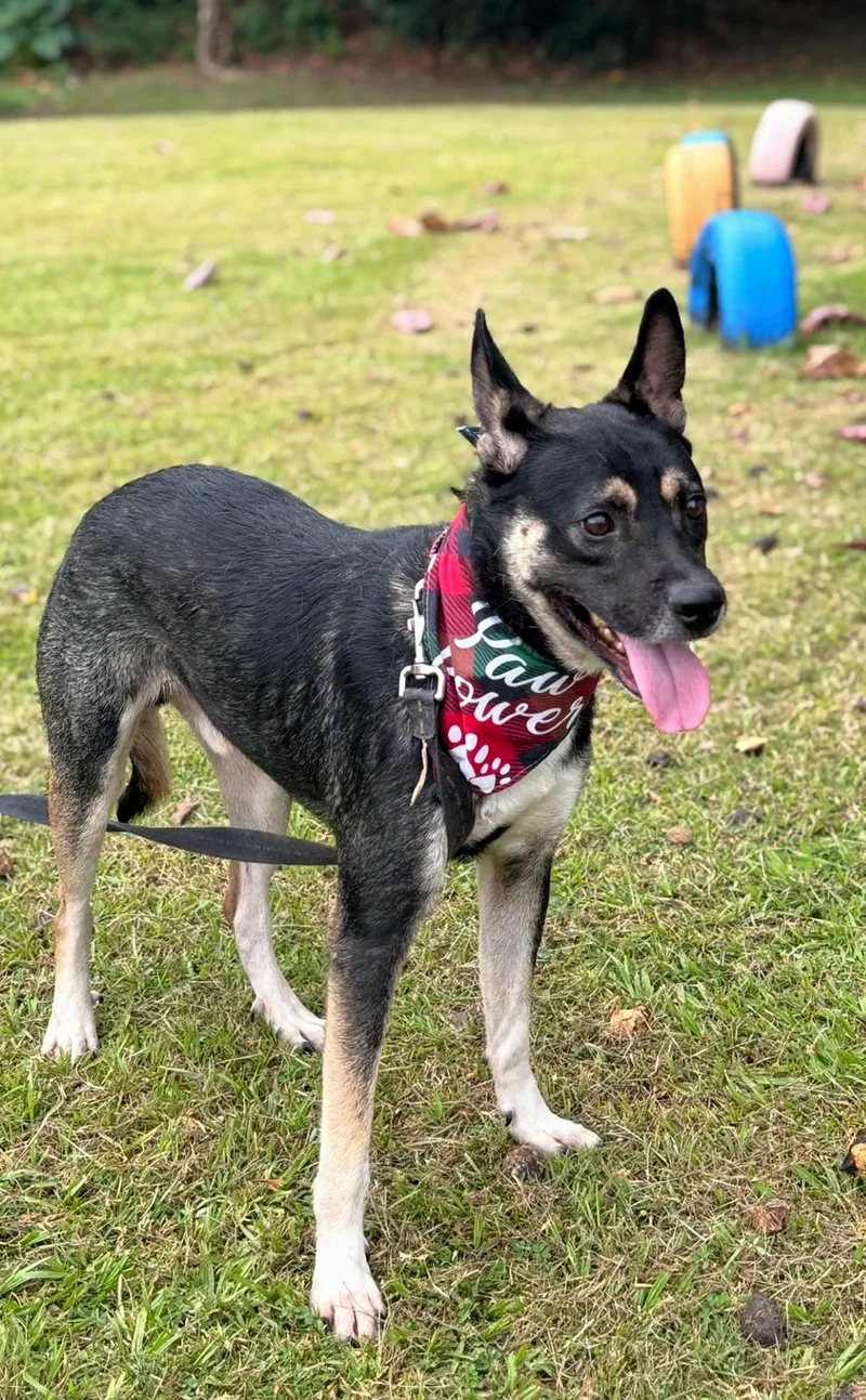 Daddy Yankee "loving & thumbnail 2