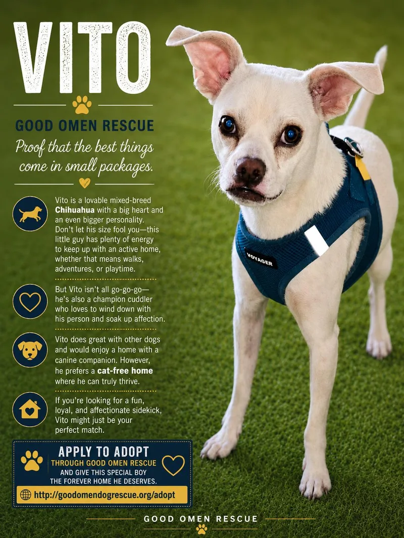 Vito thumbnail 3