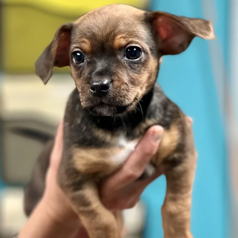 Colby  Arriving In thumbnail 3