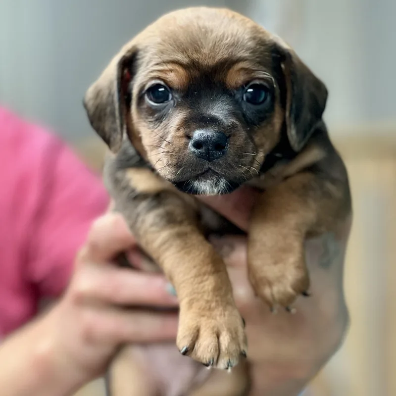 Colby  Arriving In thumbnail 4