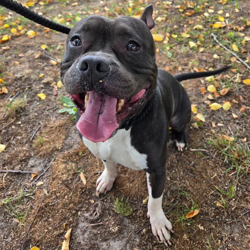 Zeus Worthington