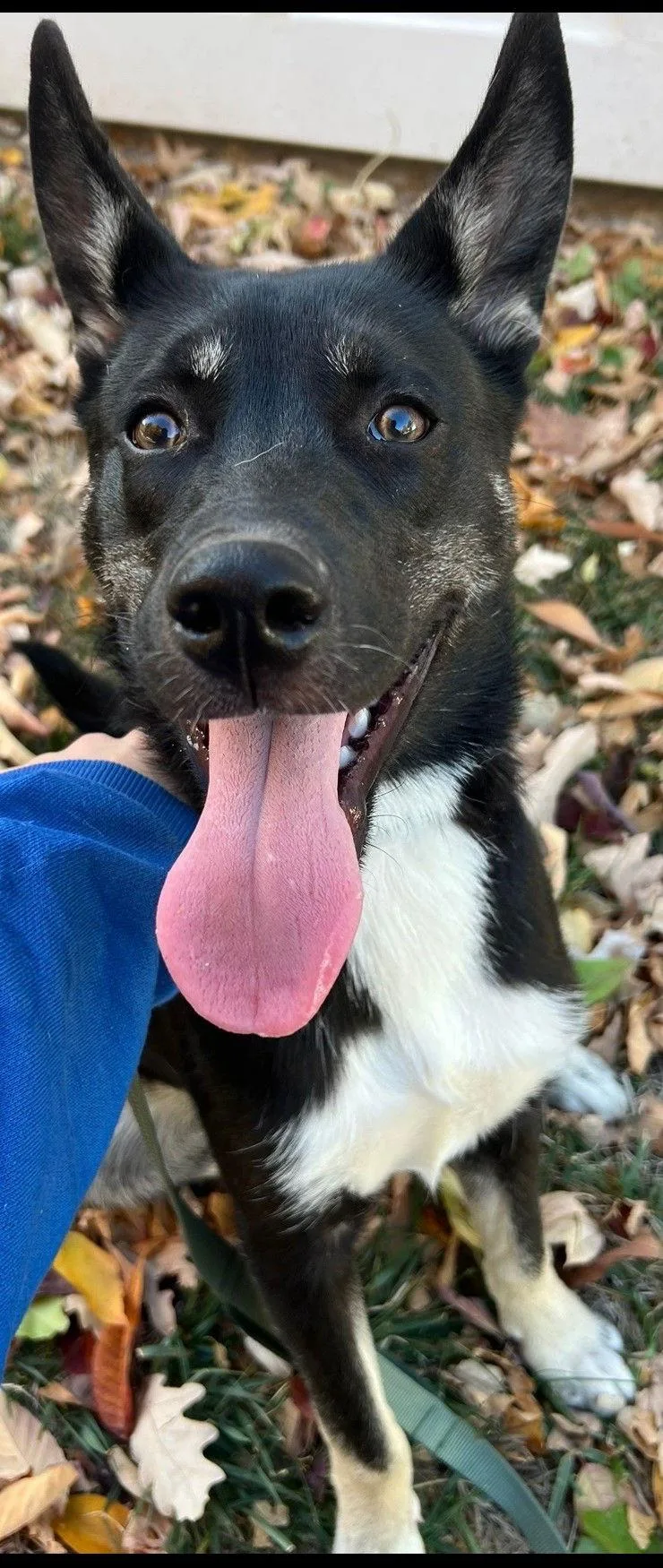 Tucker Cl thumbnail 2