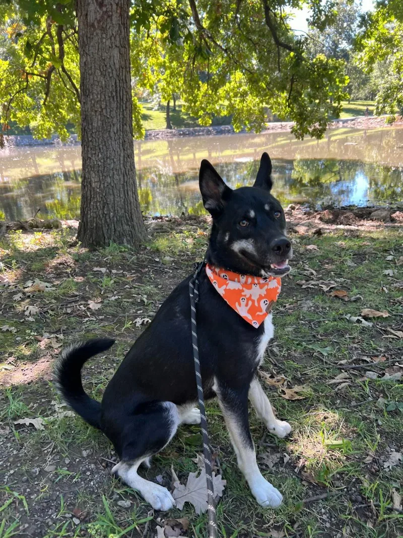 Tucker Cl thumbnail 3