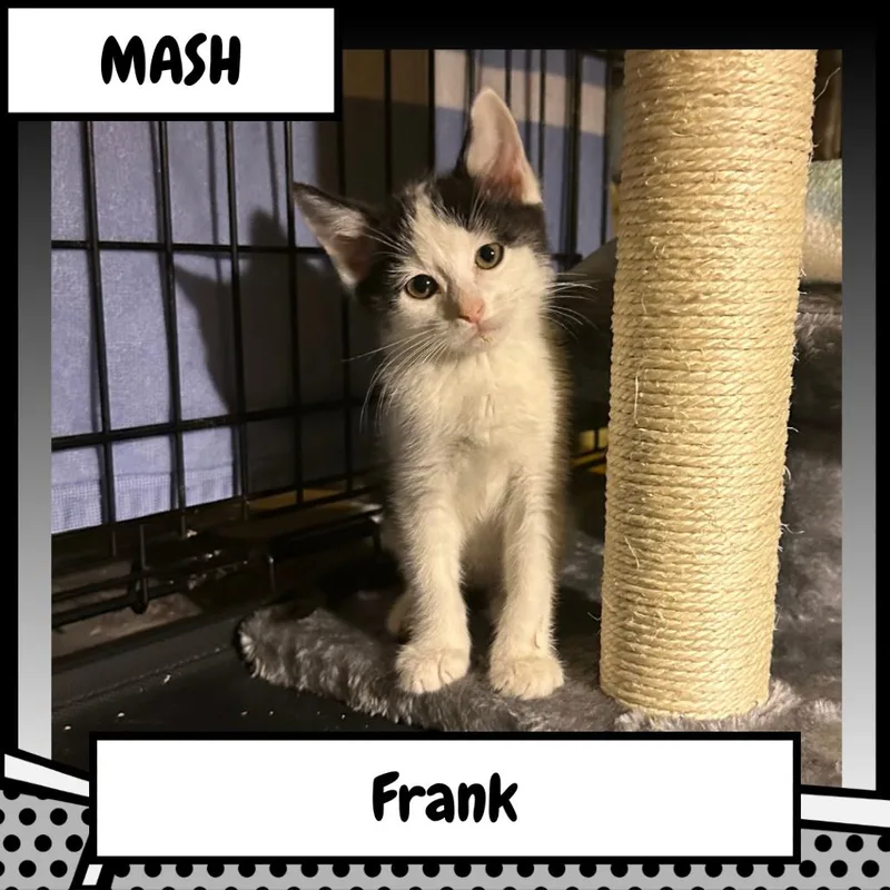 Franklin "Frank" Delano