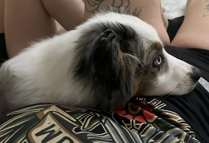 Sassy Sue thumbnail 4