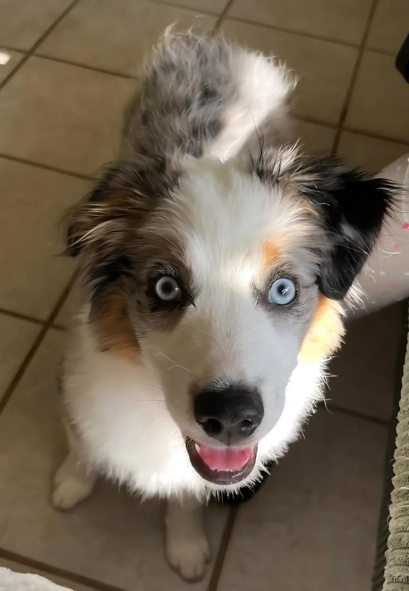 Sassy Sue thumbnail 5