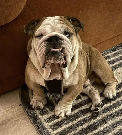 Andre Van Wrinkles