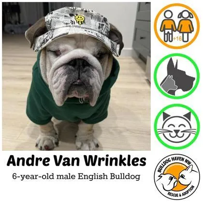 Andre Van Wrinkles thumbnail 3