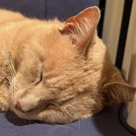 Willoughby Tucker thumbnail 2