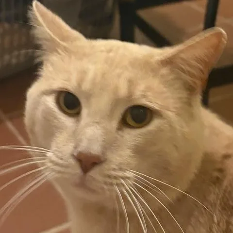 Willoughby Tucker thumbnail 3