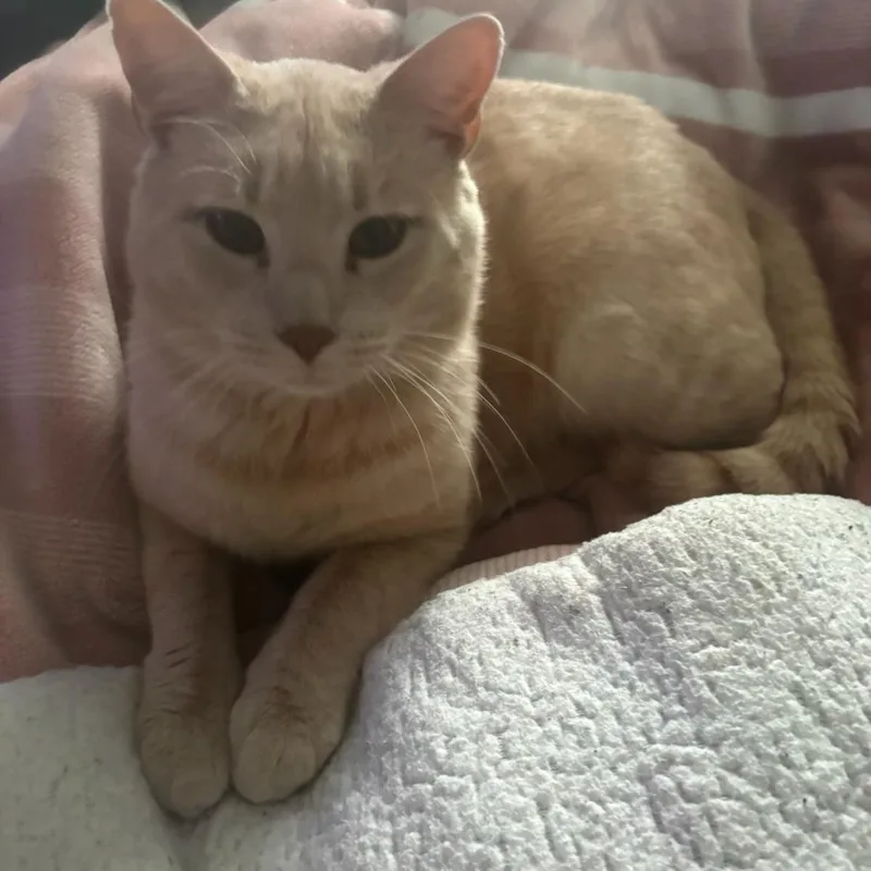 Willoughby Tucker thumbnail 4