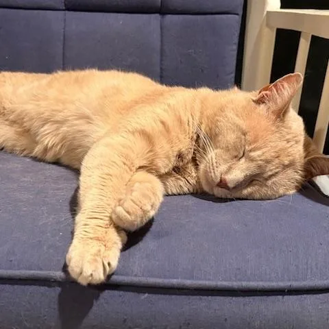 Willoughby Tucker thumbnail 5