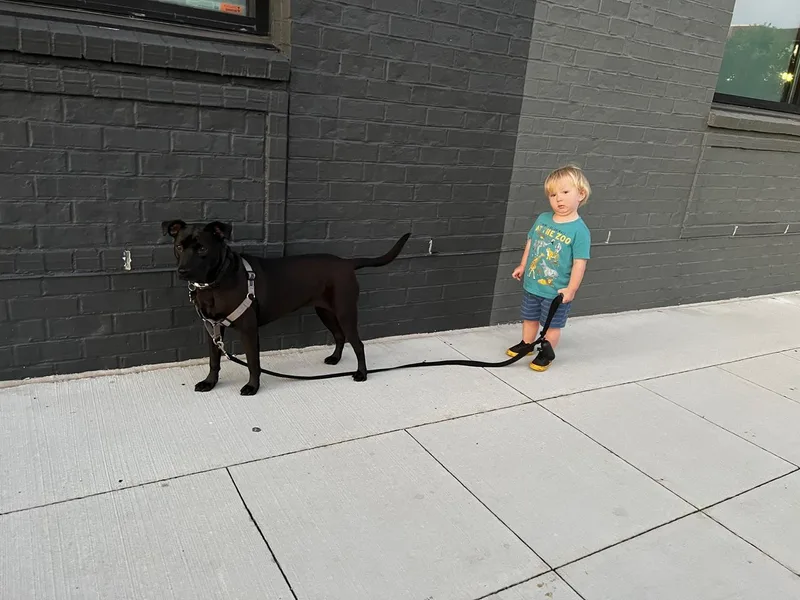 Bella   Low thumbnail 2