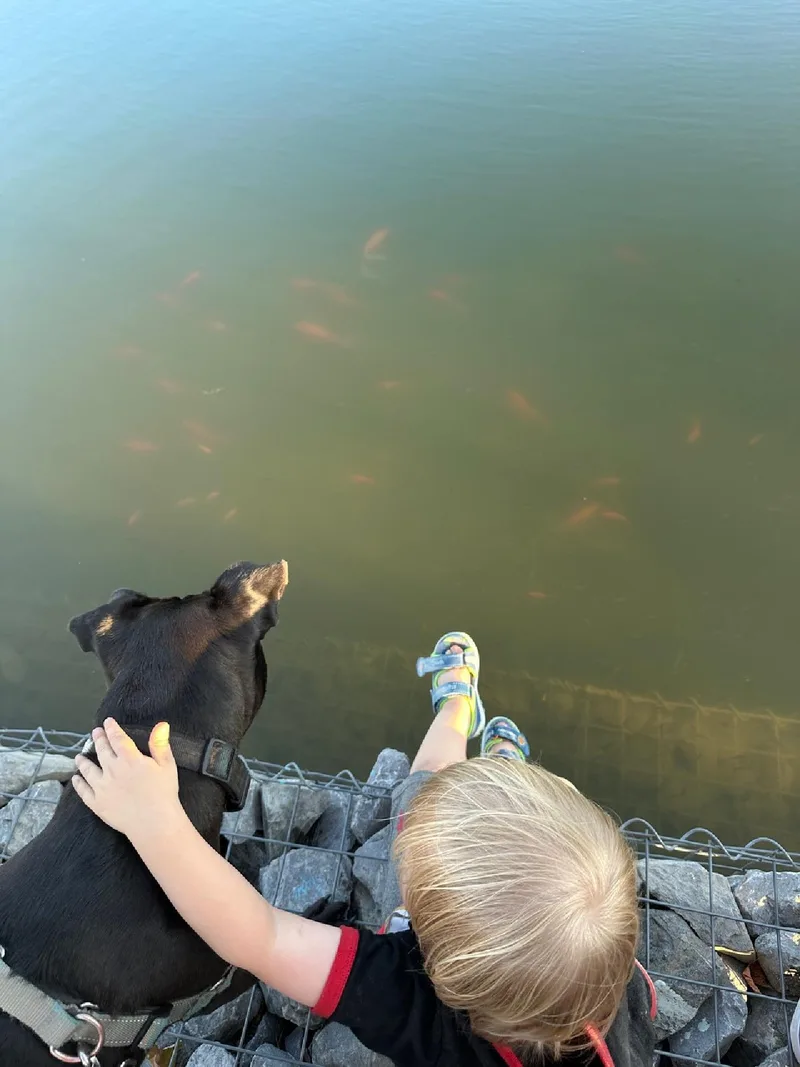 Bella   Low thumbnail 3