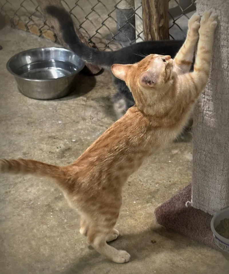 Sunshine thumbnail 2