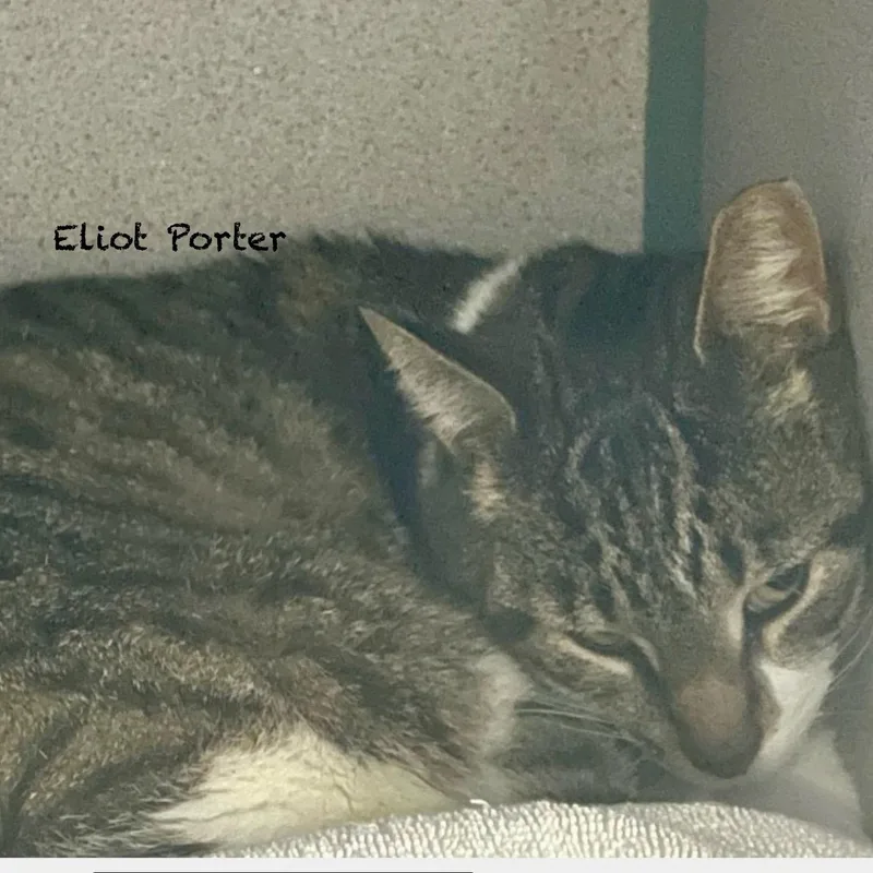 Eliot Porter thumbnail 2
