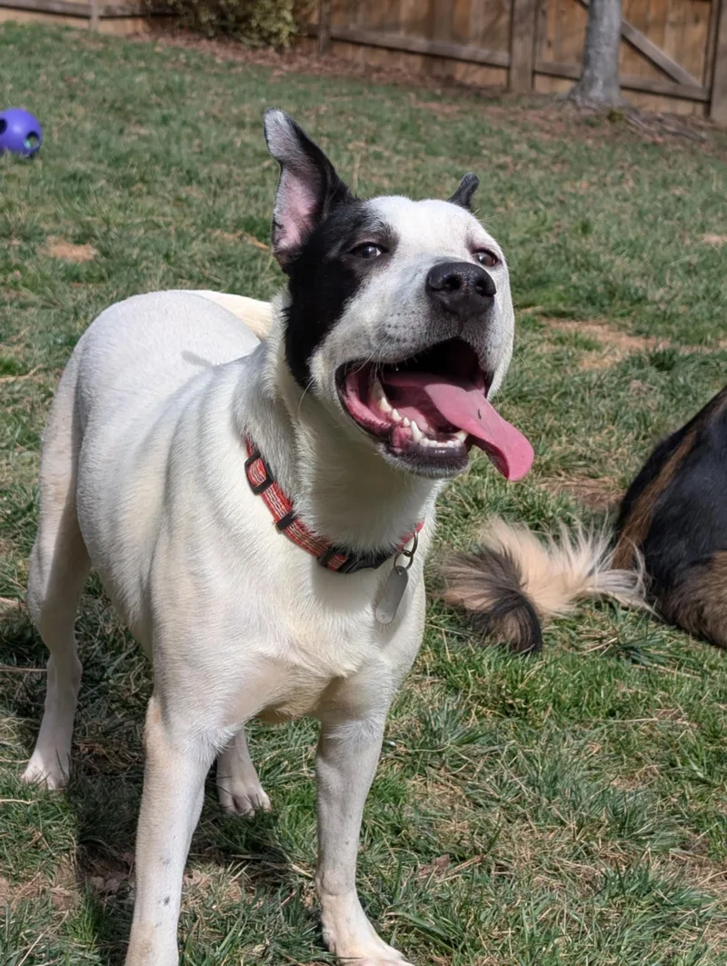 Parker  Louisiana Litter