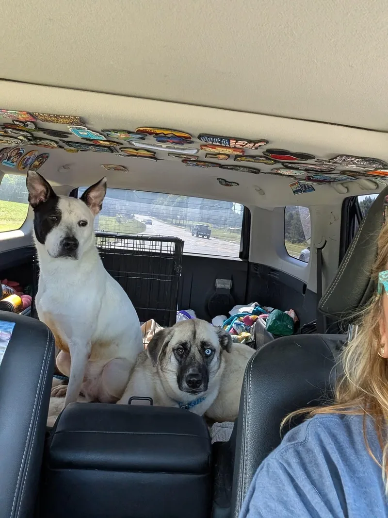 Parker  Louisiana Litter thumbnail 3