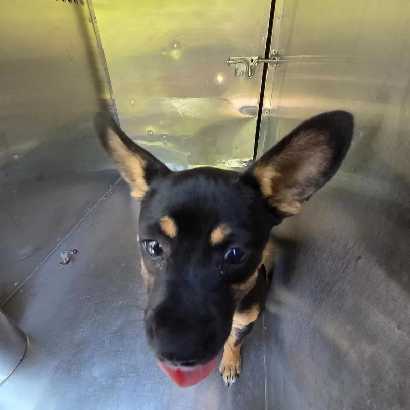 Roxy thumbnail 2