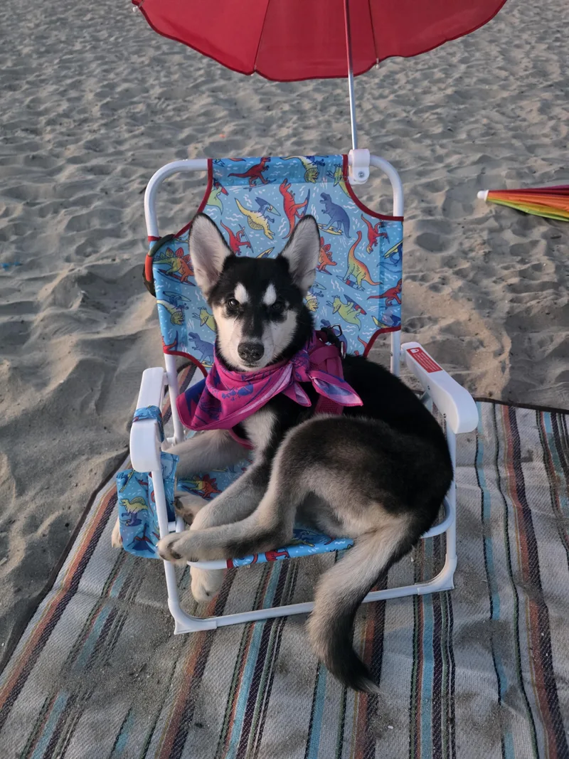 Jina Courtest Post thumbnail 4