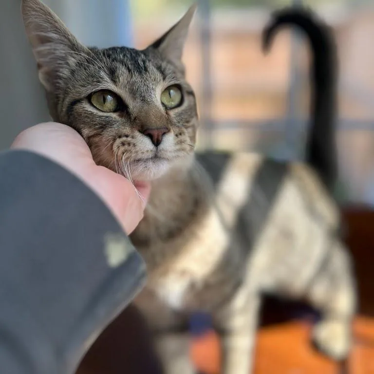 Two Leftfeet Mcgee thumbnail 2