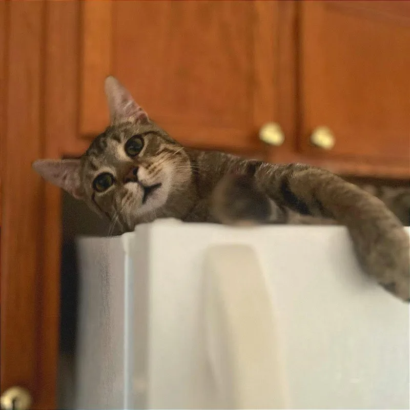 Two Leftfeet Mcgee thumbnail 3