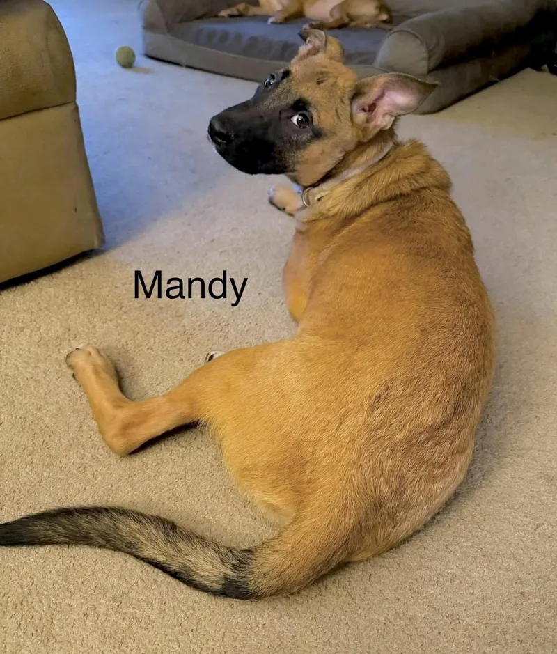 Mandy thumbnail 2