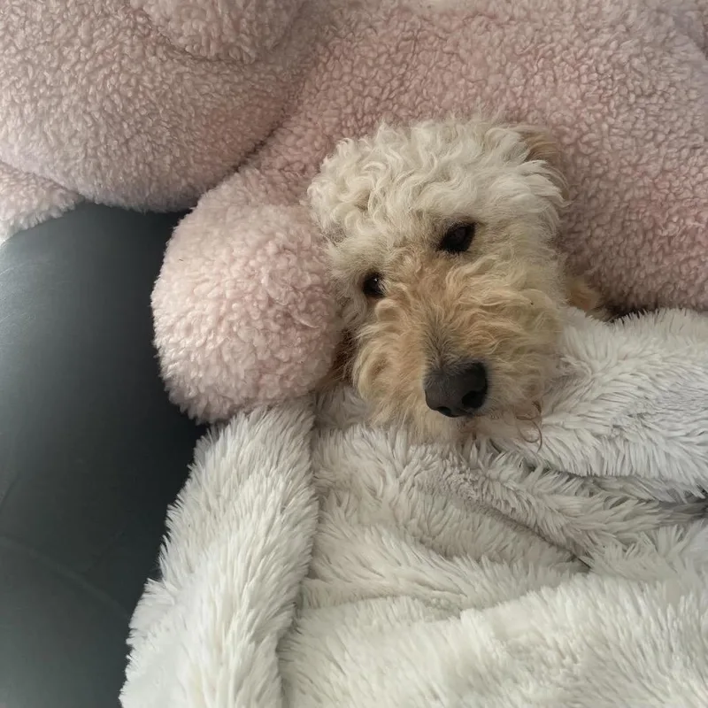 Pat & Penny thumbnail 2