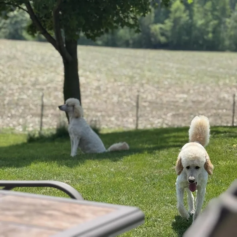 Pat & Penny thumbnail 3