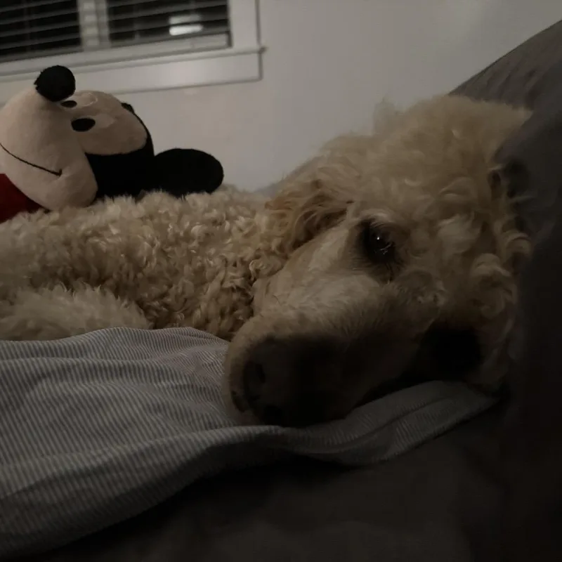 Pat & Penny thumbnail 4