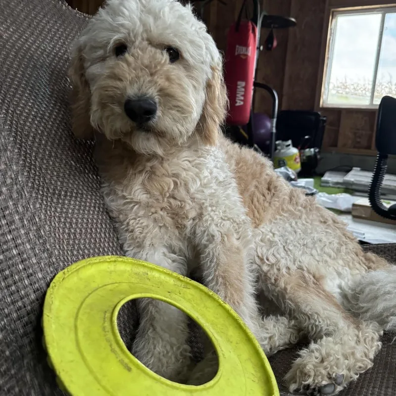 Pat & Penny thumbnail 5