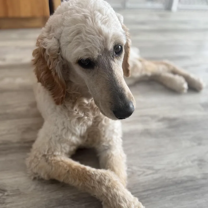 Pat & Penny thumbnail 6