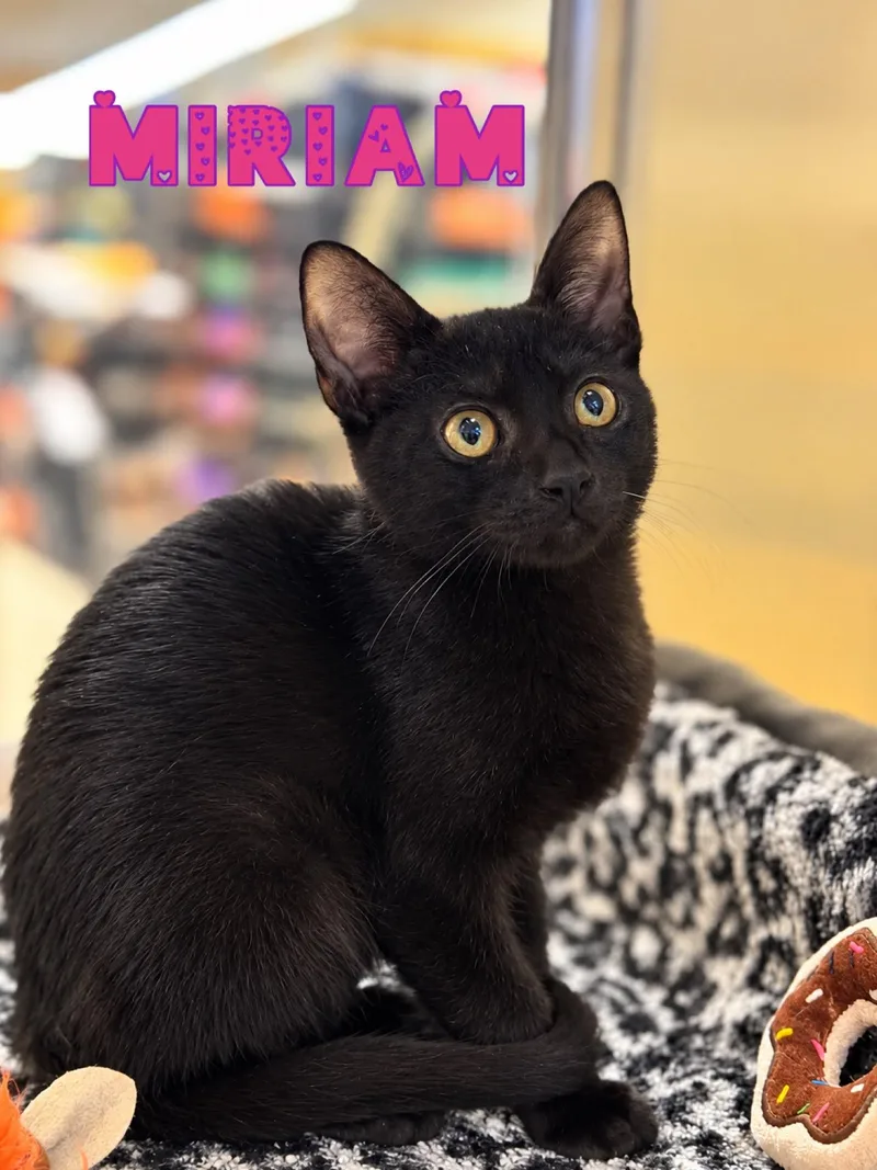 Miriam thumbnail 3