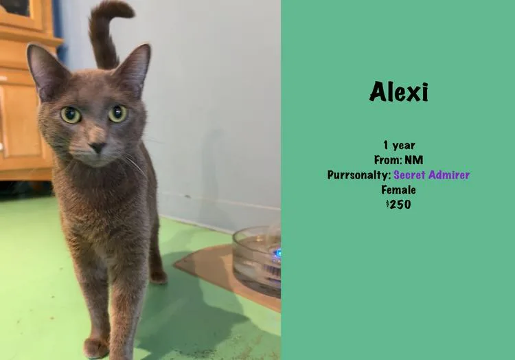 Alexi thumbnail 2