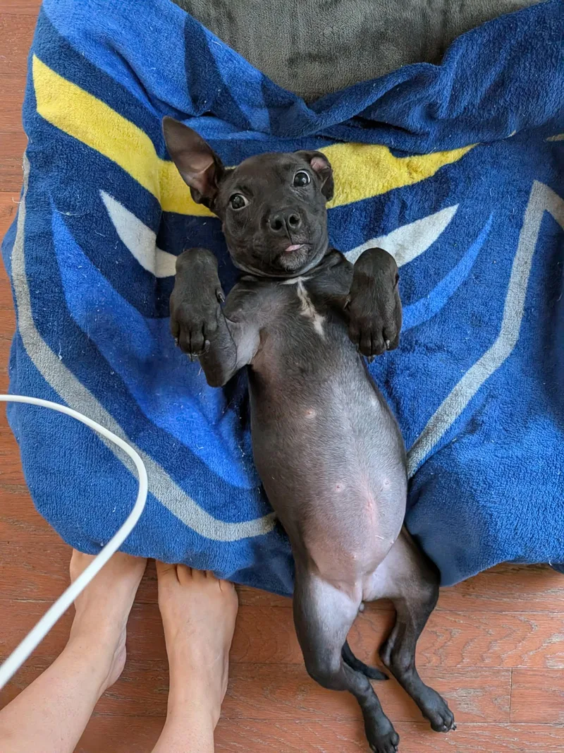 Oakley