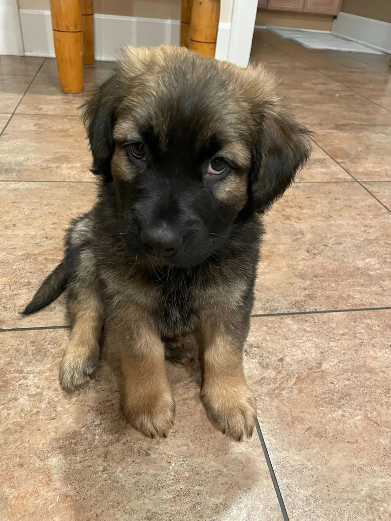 Channing thumbnail 2