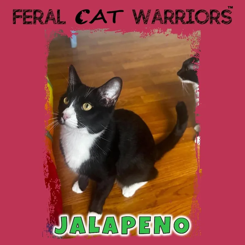 Jalapeno