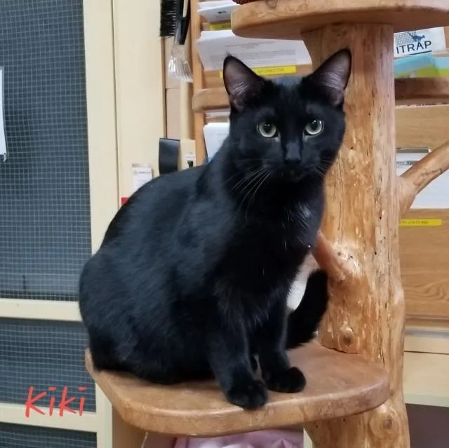 Kiki