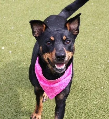 Mali Athens thumbnail 2