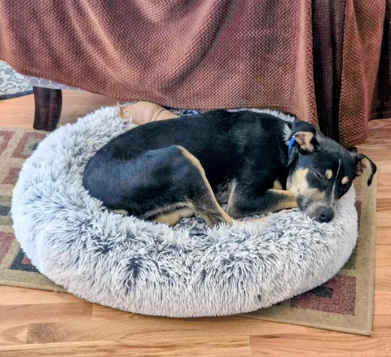 Rudy thumbnail 4