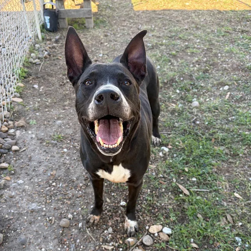 Melina Gch thumbnail 2