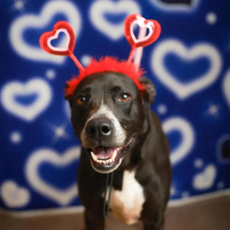 Melina Gch thumbnail 3