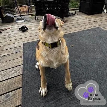 Zora  States Litter thumbnail 2