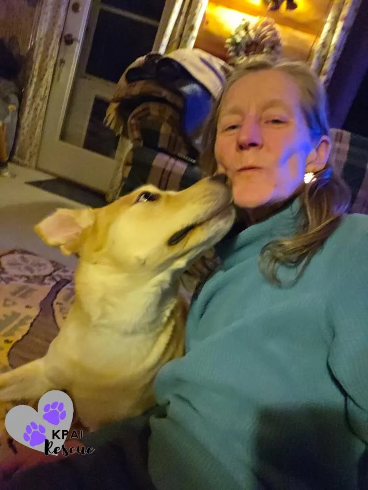 Zora  States Litter thumbnail 3